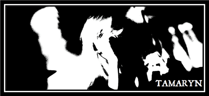 Screen Shot 2013-08-08 at 8.40.04 AM