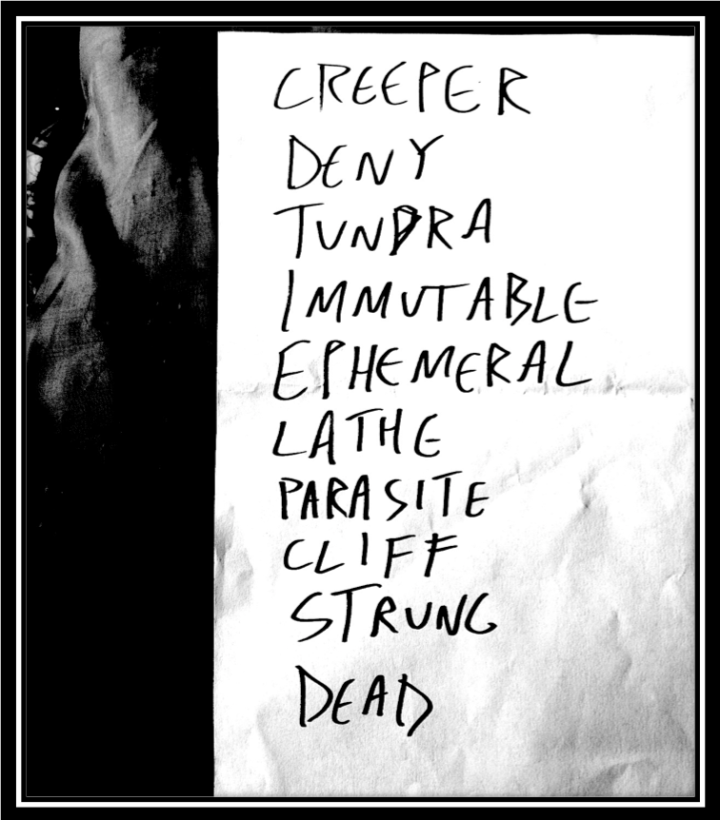 pelican setlist