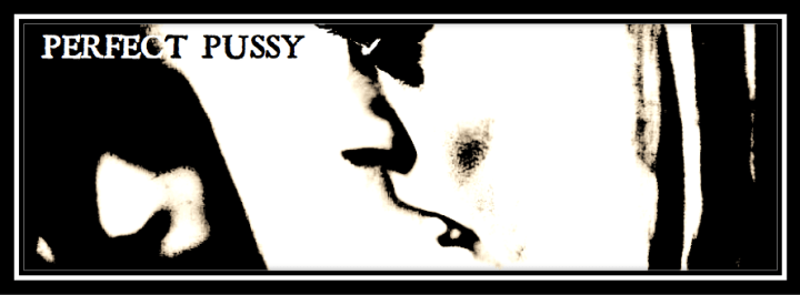 perfect pussy header