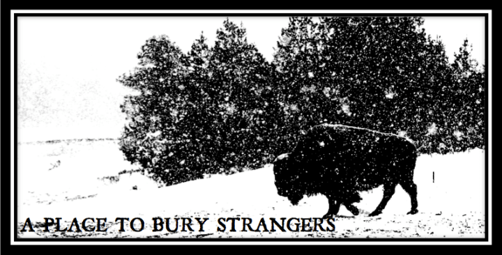 A PLACE TO BURY STRANGERS HEADER