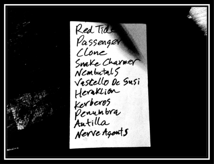 atomic ape setlist